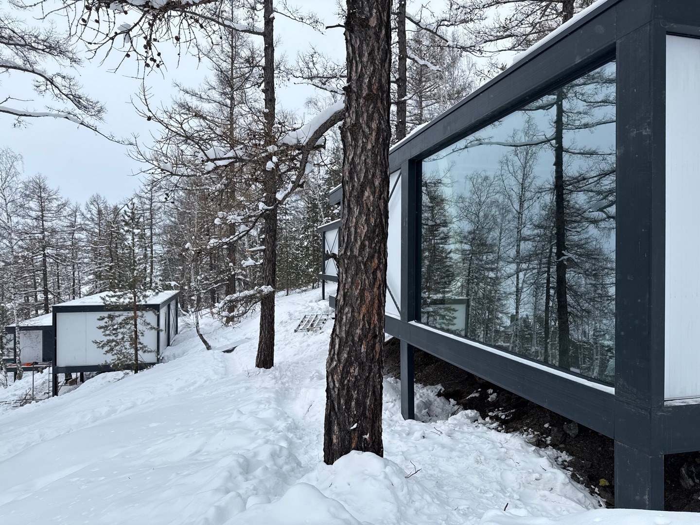 Лесное бунгало